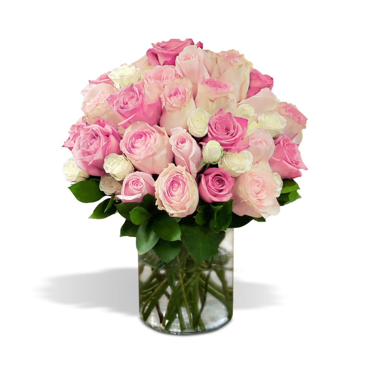 Send Fresh Roses Quickly & Easily Chez Joy Florist