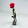 Statue of a person holding a red rose on a white background