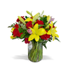 yellow, red white , pink all cheerful colors seasonal flowers