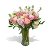 pink peony, stock, white roses