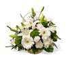 white flowers, lilies, roses, white and green flowers