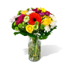 cheerful color flowers, Gerbera daisy, roses, lily , mums the best of seasonal flowers