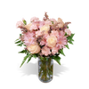pastel pink roses, daisy