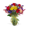 assorted joyful seasonal flowers, yellow daisy, orange Gerbera, pink carnations, red roses, purple statice