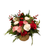 white and red Christmas flowers