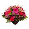 hot pink roses, red roses, pink carnation, blue daisy, Gerbera daisy, lilies