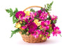 Gerbera Daisy, Alstroemeria, roses.  spring basket flowers 