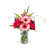 colorful Gerbera daisy arrangement