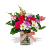 all cheerful colors flowers, rose, daisy, lily, carnation, etc all seasonal flowers to send cheers